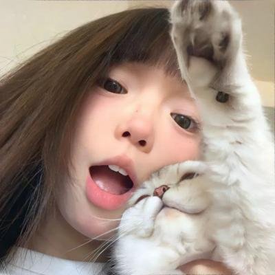 猫咪马汀