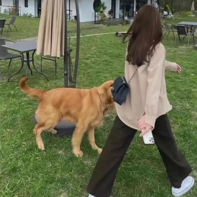 身体摄像机
